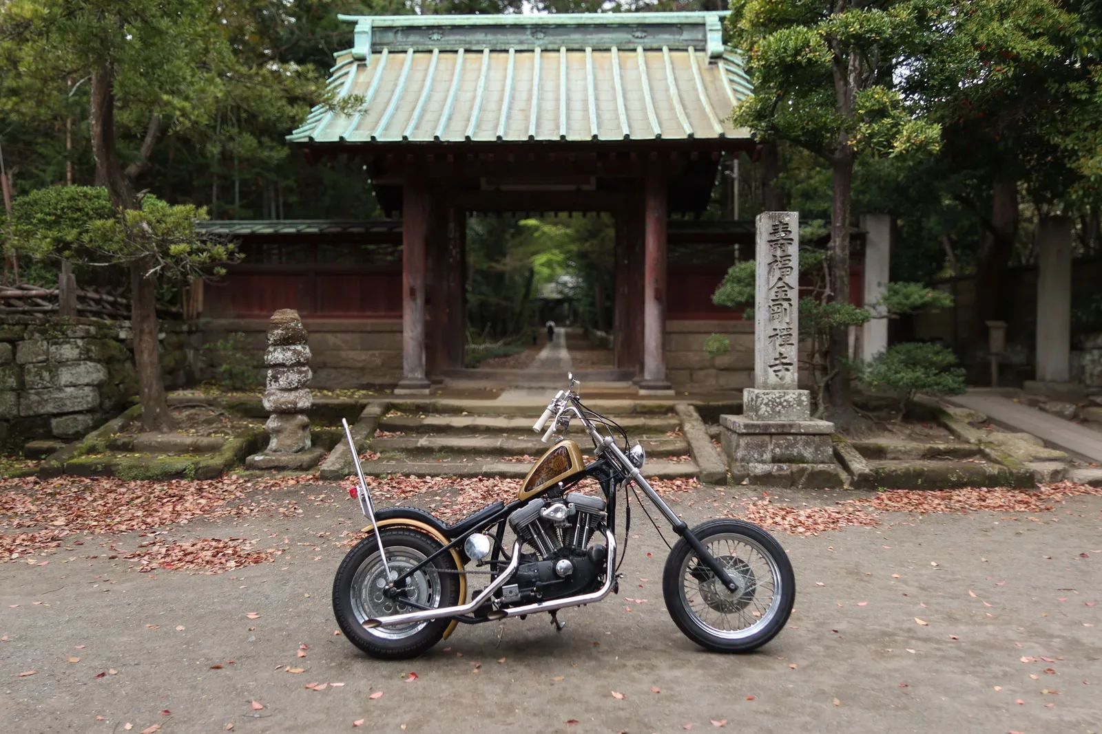 SHOGUN — 2