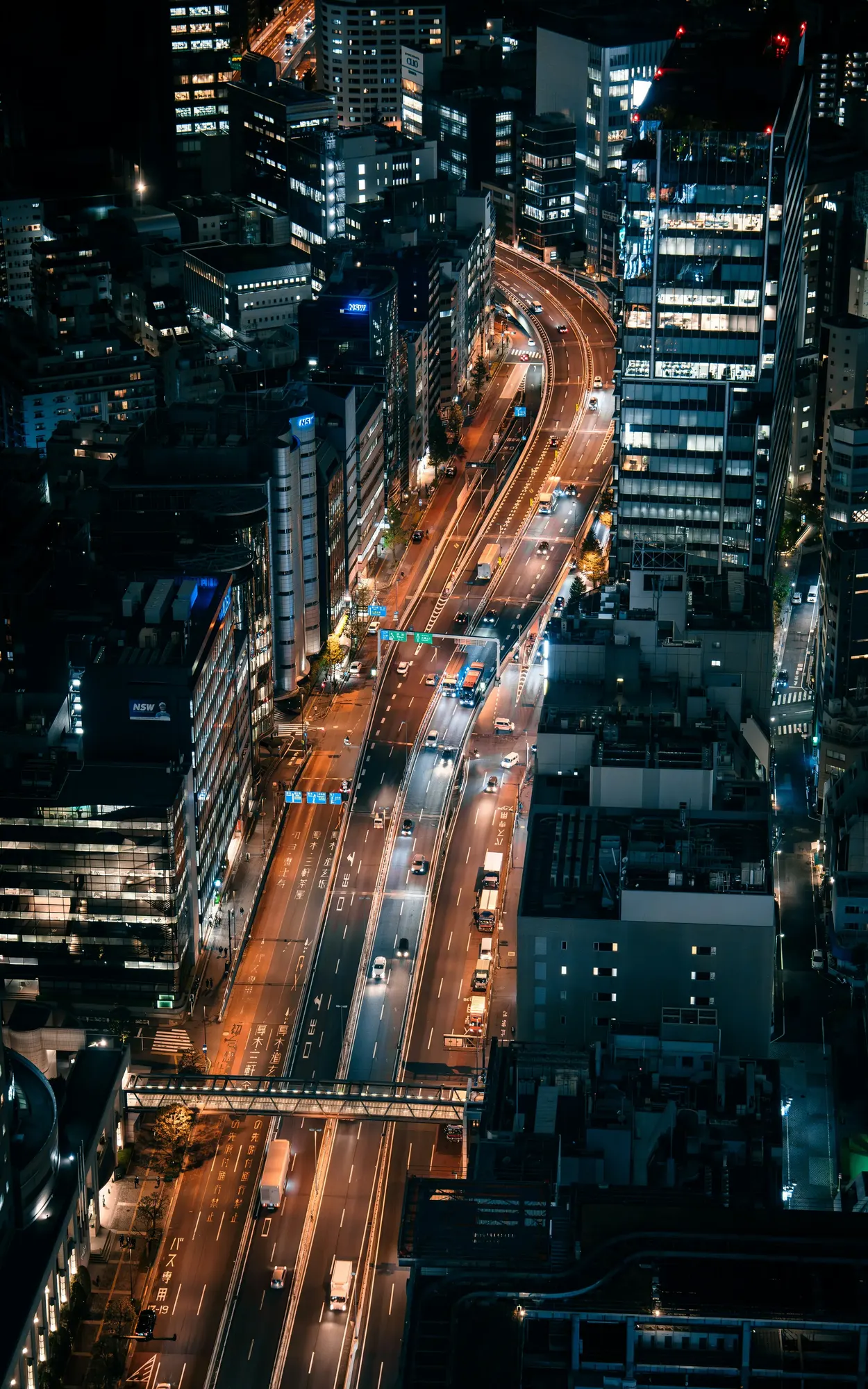 A First-Timer's Guide to the Shuto Night Run