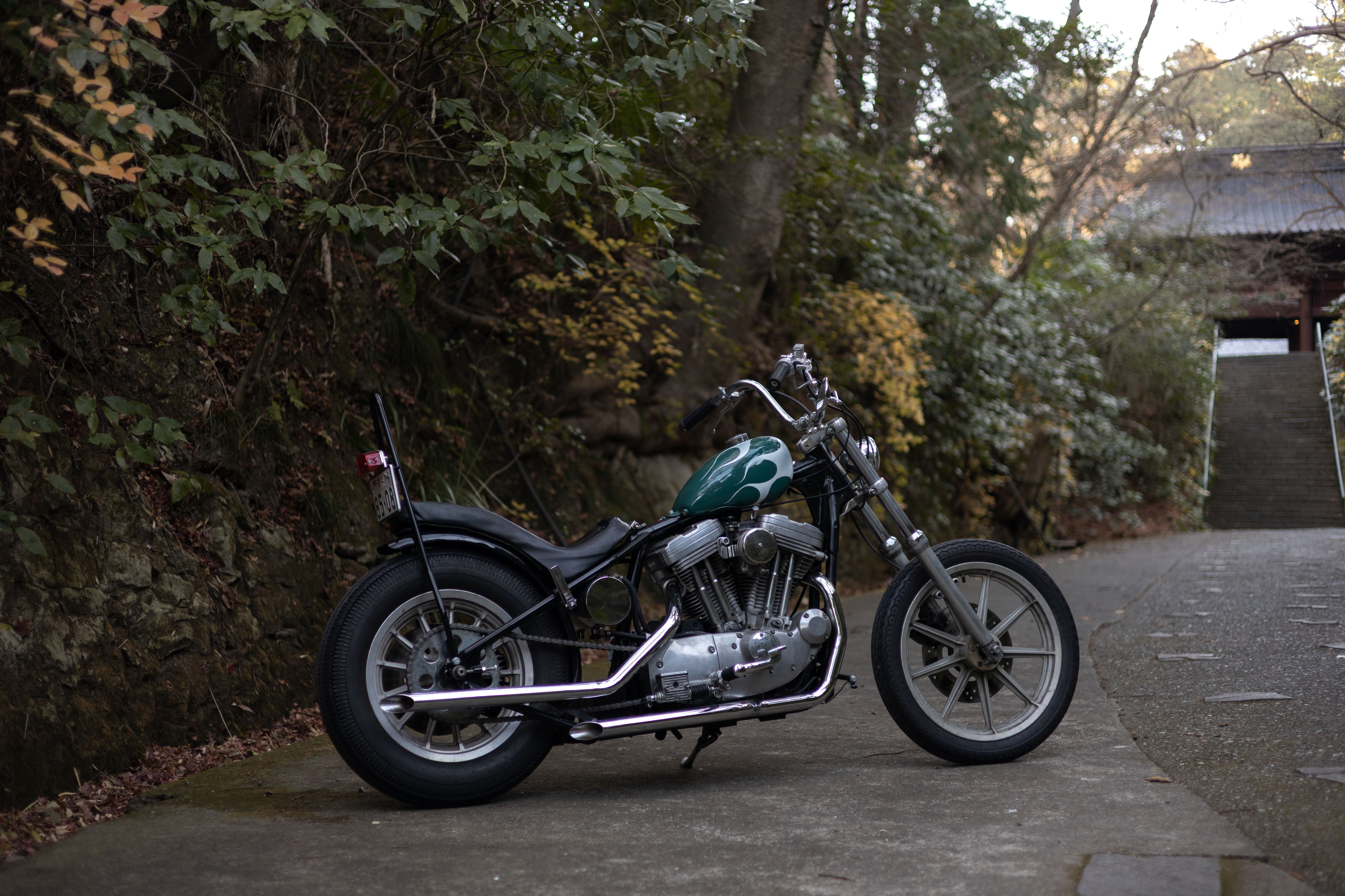 SAXE FLAMES — Main